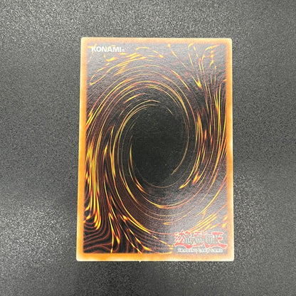 遊戯王　正統なる血統/レリーフ/イタリア語/1st/EU版