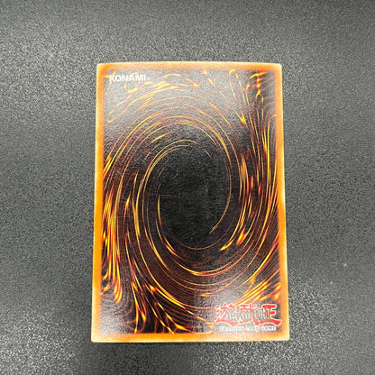 遊戯王　ホーリー・ナイト・ドラゴン/シークレット/英語