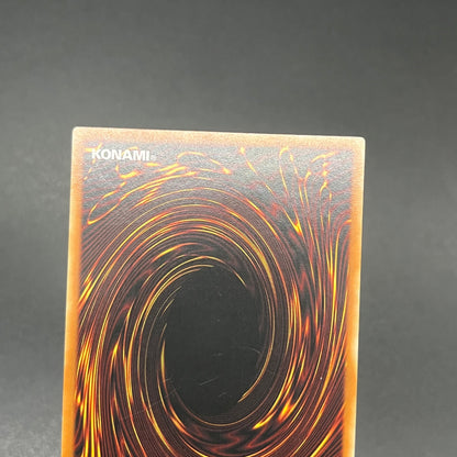 遊戯王　漆黒の魔王 ＬＶ６/レリーフ/ドイツ語/1st/EU