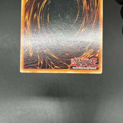 遊戯王　闇の住人 シャドウキラー/レリーフ/北米