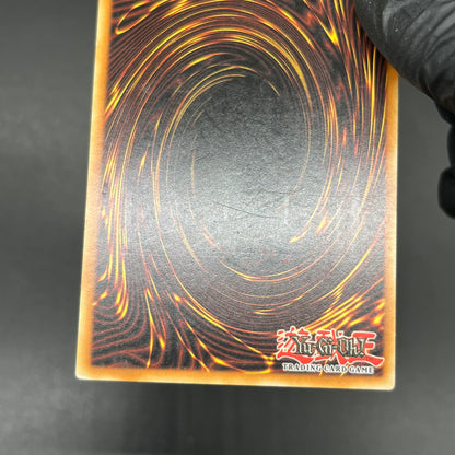 遊戯王　ゴブリンエリート部隊/レリーフ/イタリア/EU版