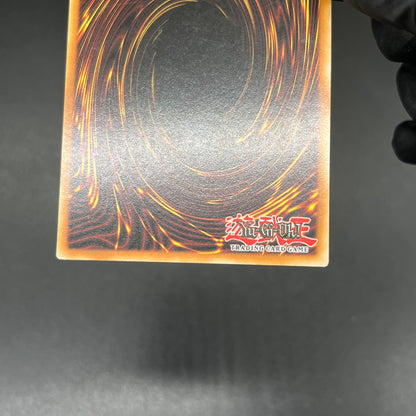 遊戯王　サイバー・シャドー・ガードナー/レリーフ/ドイツ語/1st/EU