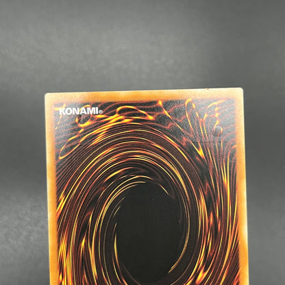 遊戯王　Ｎｏ.３９ 希望皇ホープ・ルーツ/レリーフ/ドイツ語/EU版