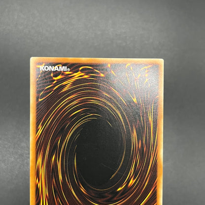 遊戯王　正統なる血統/レリーフ/ドイツ語/1st/EU版