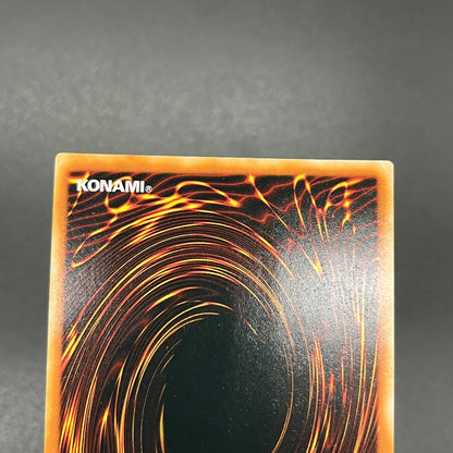 遊戯王　アマゾネスの剣士/ウルトラ/ドイツ語/EU版