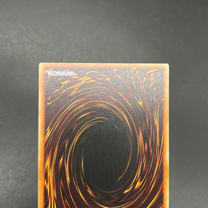 遊戯王　地球巨人 ガイア・プレート/レリーフ/イタリア/EU版