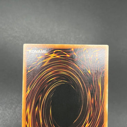 遊戯王　ファイヤー・ウォール/レリーフ/ドイツ語/EU版