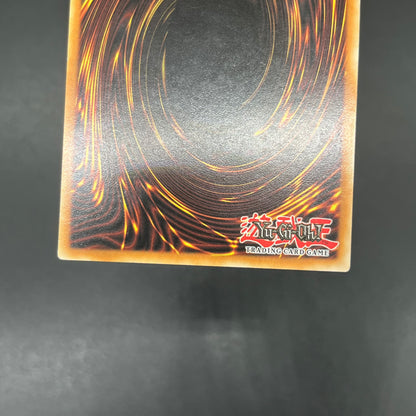 遊戯王　コンボマスター/レリーフ/ドイツ/EU版/1st