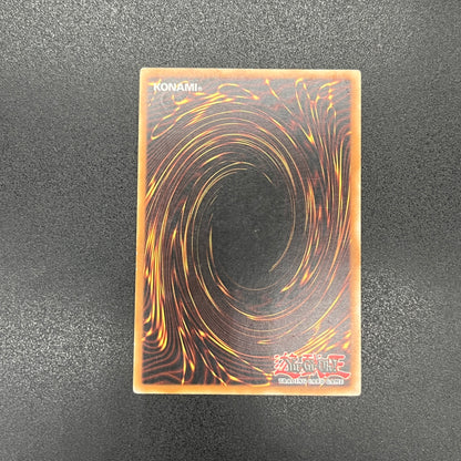 遊戯王　エネルギー吸収板/レリーフ/ドイツ語/1st/EU