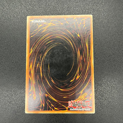 遊戯王　お家おとりつぶし/レリーフ/ドイツ語/EU版