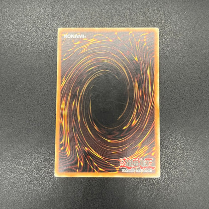 遊戯王　漆黒の魔王 ＬＶ６/レリーフ/イタリア/EU