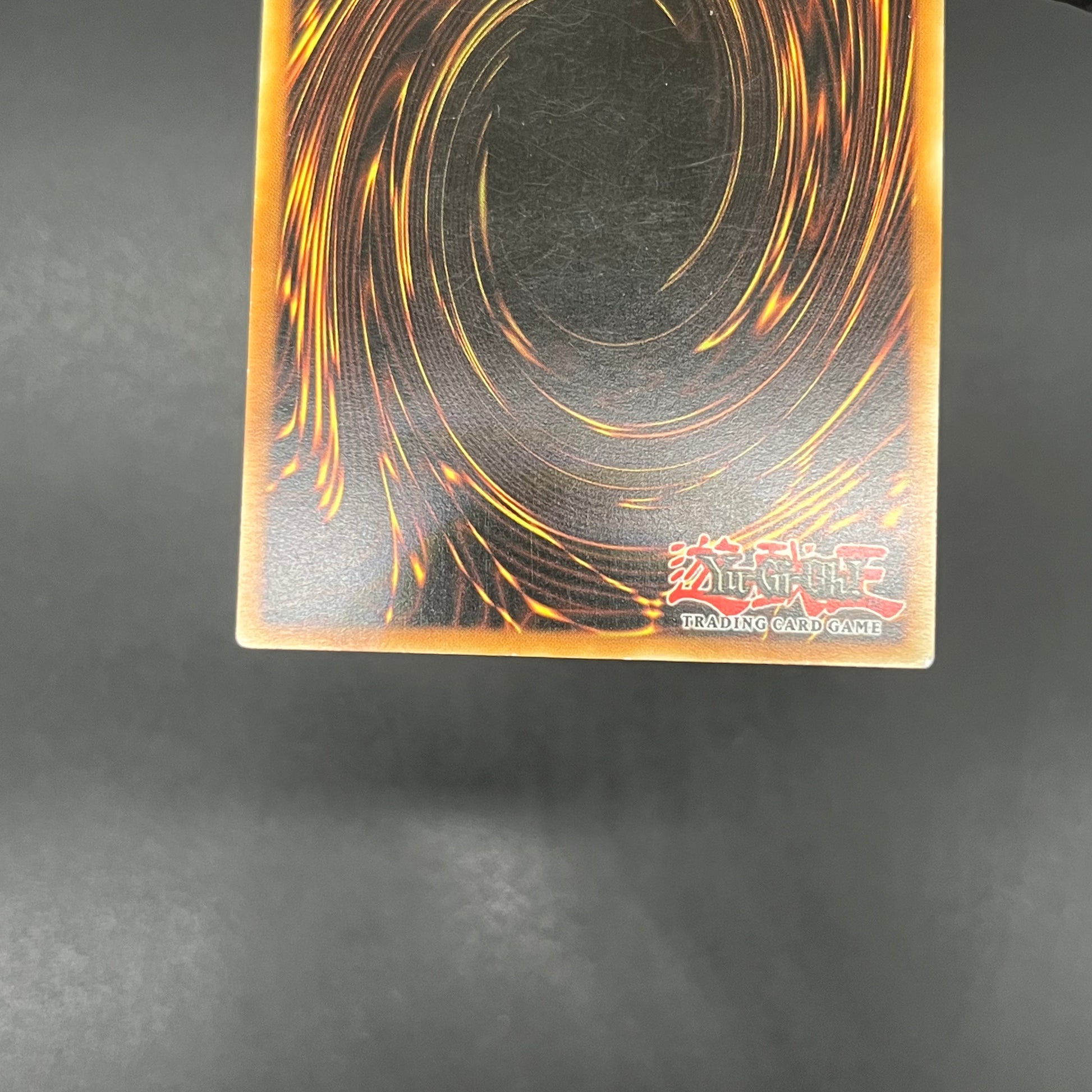 遊戯王 モンタージュ・ドラゴン/レリーフ/イタリア語/EU版 – カード 遊戯王 モンタージュ・ドラゴン/レリーフ/イタリア語/EU版 – カード