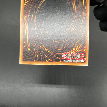 遊戯王　甲虫装機 エクサスタッグ/レリーフ/ドイツ/1st/EU版