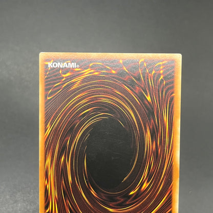 遊戯王　サイバー・シャドー・ガードナー/レリーフ/ドイツ語/1st/EU