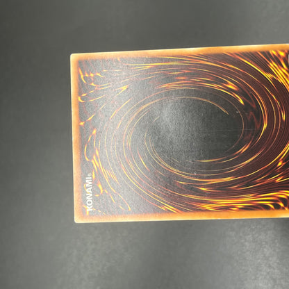 遊戯王　雲魔物－アイ・オブ・ザ・タイフーン/レリーフ/ドイツ/1st/EU版