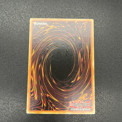 遊戯王　オッドアイズ・ペンデュラム・ドラゴン/レリーフ/ドイツ語/1st/EU版