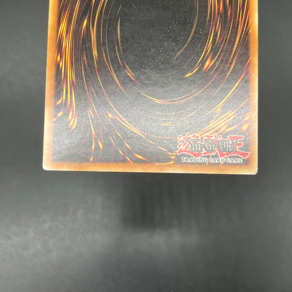 遊戯王　セイヴァー・スター・ドラゴン/レリーフ/フランス語/EU版