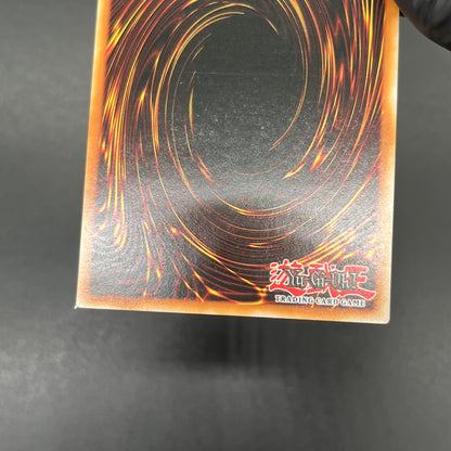 遊戯王　強欲で貪欲な壺/レリーフ/ドイツ/EU版