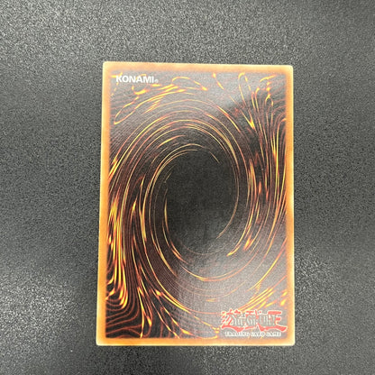 遊戯王　デーモン・カオス・キング/レリーフ/イタリア/EU版