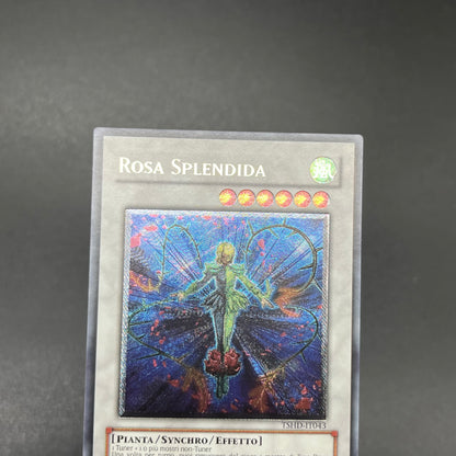 遊戯王　スプレンディッド・ローズ/レリーフ/イタリア語/EU版