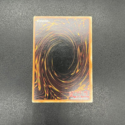 遊戯王　ミドル・シールド・ガードナー/レリーフ/ドイツ/1st/EU版