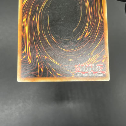 遊戯王　ブレイン・ジャッカー/レリーフ/ドイツ/EU版