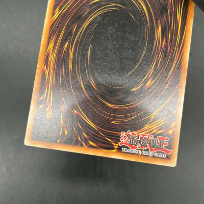 遊戯王　異次元の落とし穴/レリーフ/ドイツ語/EU版