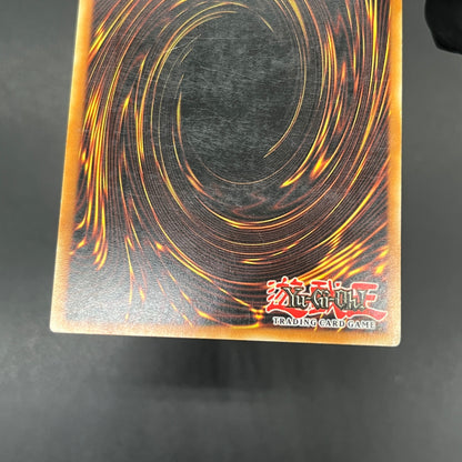 遊戯王　お家おとりつぶし/レリーフ/ドイツ語/EU版