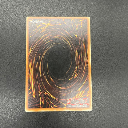 遊戯王　黒薔薇の魔女/レリーフ/ドイツ/1st/EU版