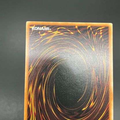 遊戯王　伝説の黒帯/レリーフ/ドイツ語/1st/EU版