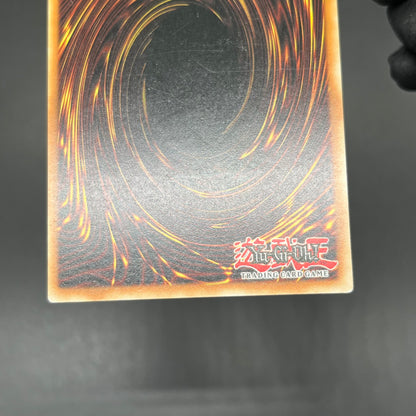 遊戯王　伝説の黒帯/レリーフ/ドイツ語/1st/EU版