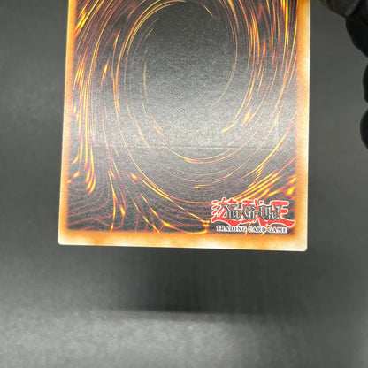 遊戯王　ライフチェンジャー/レリーフ/ドイツ語/1st/EU版