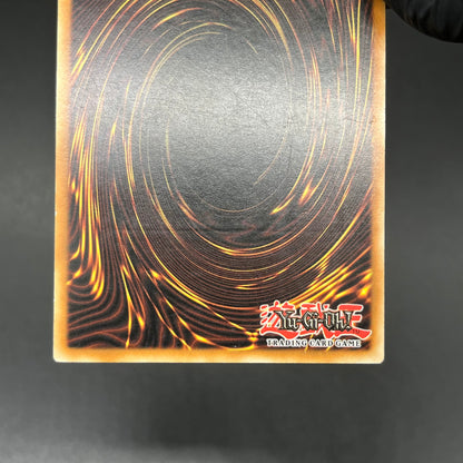 遊戯王　バブル・シャッフル/レリーフ/ドイツ語/EU版