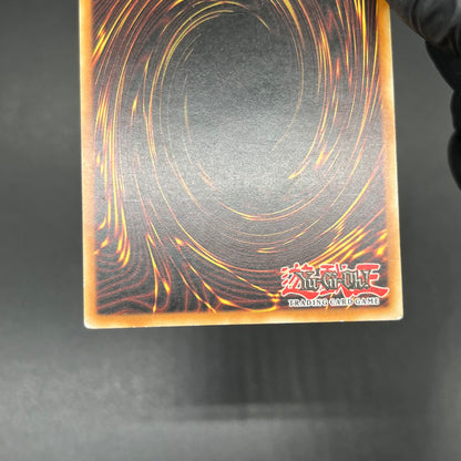 遊戯王　漆黒の魔王 ＬＶ８/レリーフ/ドイツ語/EU版