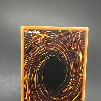 遊戯王　異次元の落とし穴/レリーフ/ドイツ語/EU版