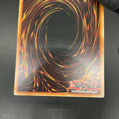 遊戯王　死のデッキ破壊ウイルス/レリーフ/イタリア/EU版