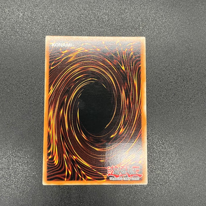 遊戯王　エレメンタル・アブソーバー/レリーフ/スペイン語/1st/EU版