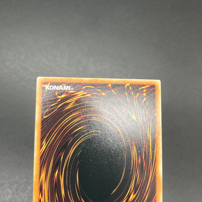 遊戯王　エビルナイト・ドラゴン/シークレット/英語/EU版