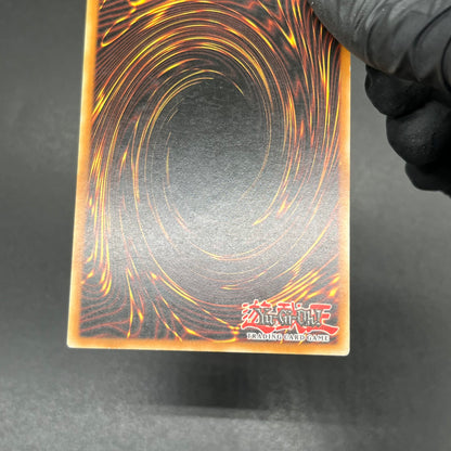 遊戯王　異次元の落とし穴/レリーフ/ドイツ語/EU版