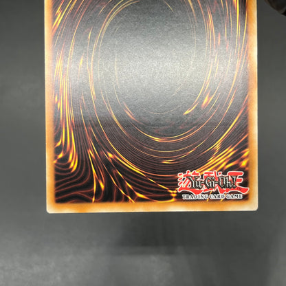 遊戯王　レア・ヴァリュー/レリーフ/イタリア語/EU版