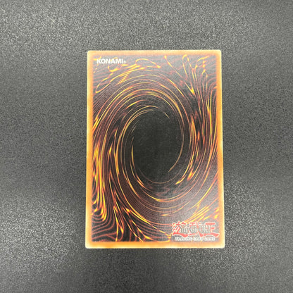 遊戯王　Ｄ・Ｄ・Ｍ/レリーフ/ドイツ語/EU版