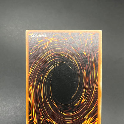 遊戯王　異次元の生還者/レリーフ/ドイツ語/1st/EU