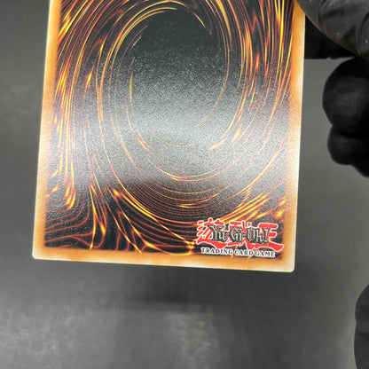 遊戯王　エビルナイト・ドラゴン/シークレット/英語/EU版