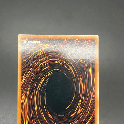 遊戯王　ライフチェンジャー/レリーフ/スペイン語/1st/EU版