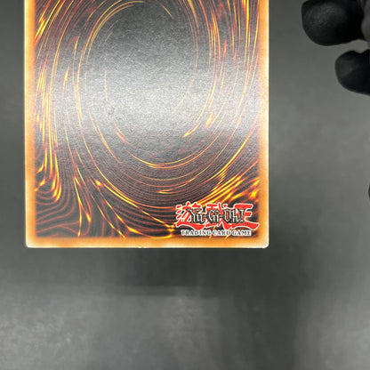 遊戯王　ツイスター/レリーフ/イタリア語/EU版