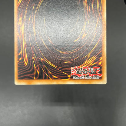 遊戯王　異次元の生還者/レリーフ/ドイツ語/1st/EU