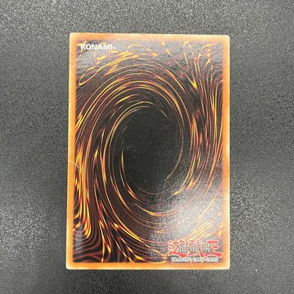 遊戯王　漆黒の魔王 ＬＶ８/レリーフ/ドイツ語/1st/EU