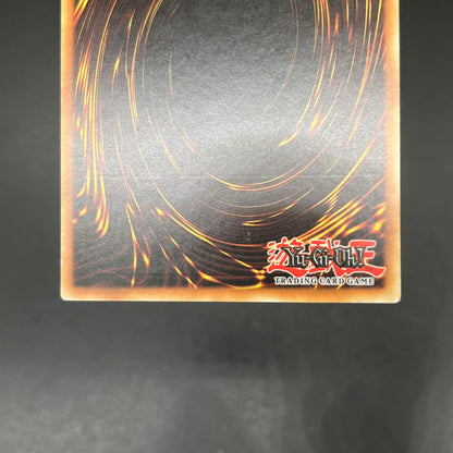 遊戯王　ＴＧ ハルバード・キャノン/レリーフ/ドイツ/1st/EU版