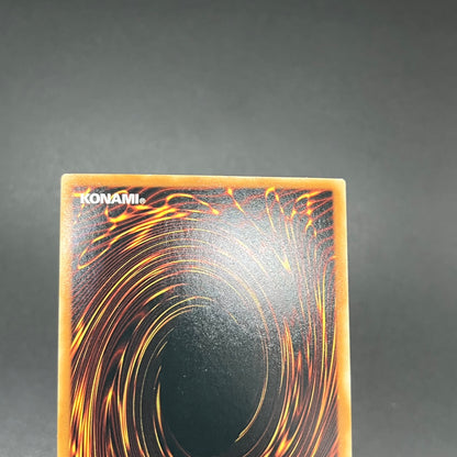 遊戯王　竜騎士ガイア/シークレット/英語/EU版