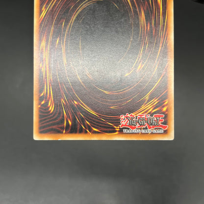 遊戯王　ライトニングパニッシャー/レリーフ/ドイツ/EU版